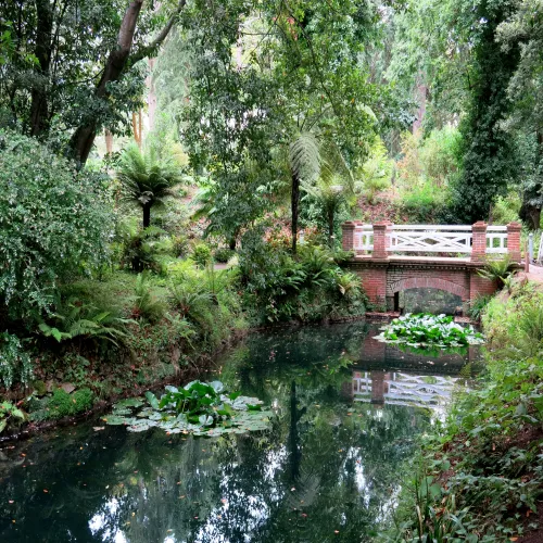 Puente del Jardín Botánico Atlántico