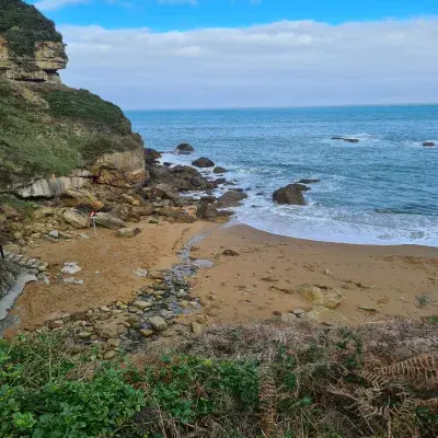 Playa de Estaño