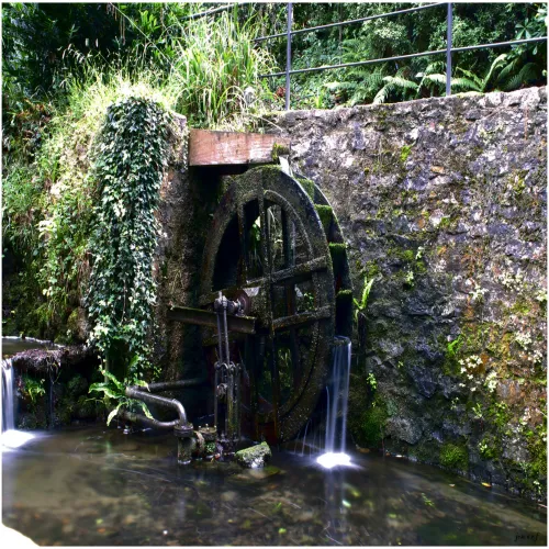 Jardín Botánico Atlántico de Gijón